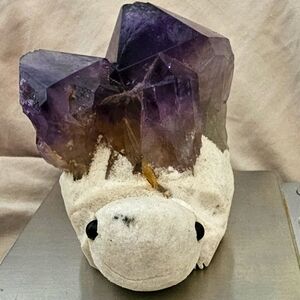 Amethyst 🐢Turtle! 365 grams, 9 x 9 cm (approx.) from head to end of Amethyst🐢